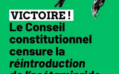 Loi Duplomb : la réintroduction de l’acétramipride censurée