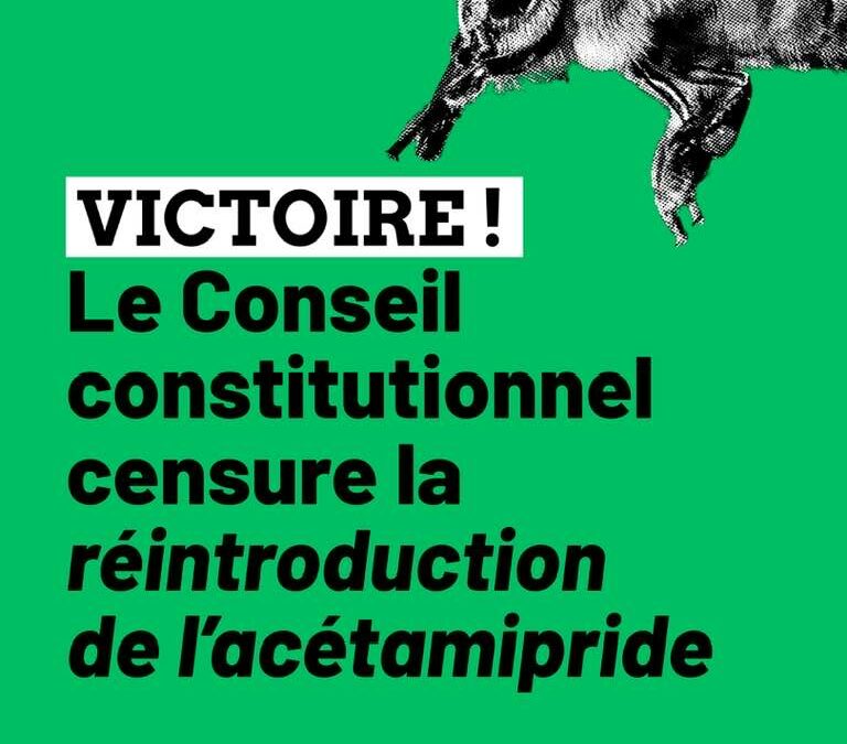 Loi Duplomb : la réintroduction de l’acétramipride censurée